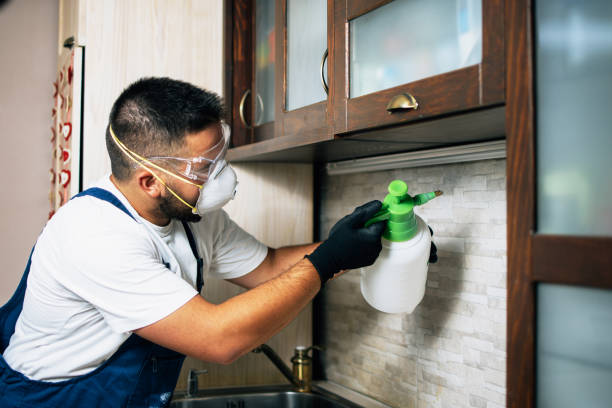 Pest Control for Restaurants in Planada, CA