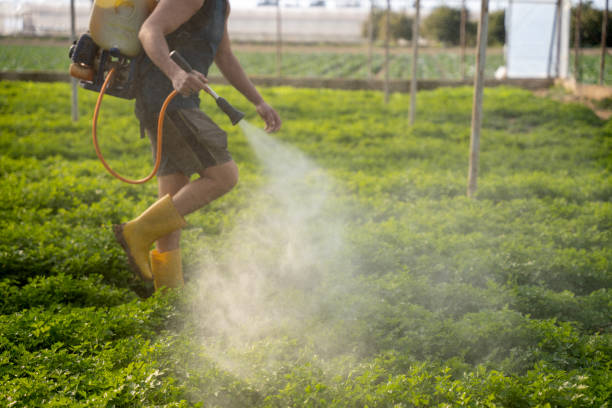 Best Best Pest Control Companies  in Planada, CA