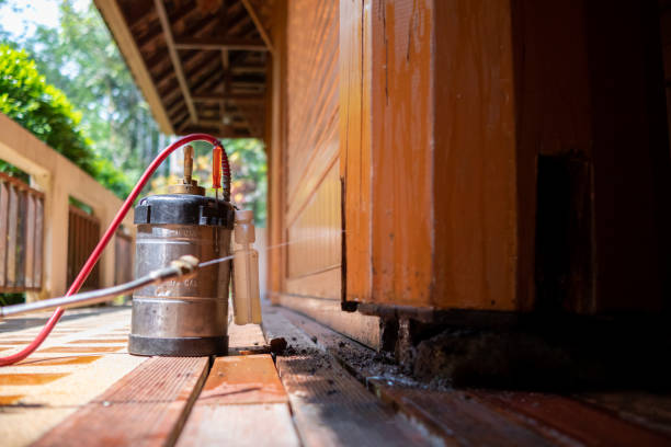 Best Termite Control Services  in Planada, CA