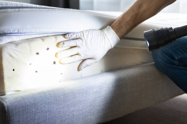 Best Local Pest Control Services  in Planada, CA