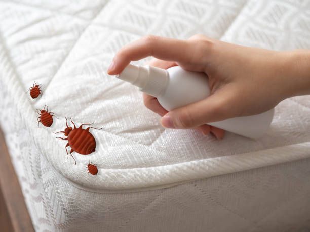 Best Commercial Pest Control Services  in Planada, CA