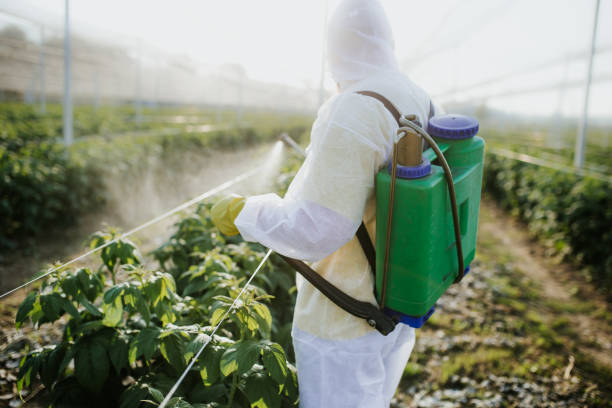 Best Mosquito Control Services  in Planada, CA